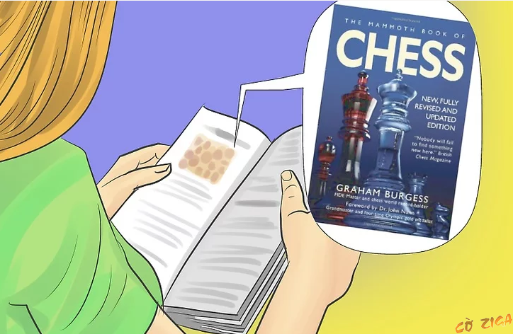 Đọc các sách về cờ vua giúp bạn tăng nhanh trình độ