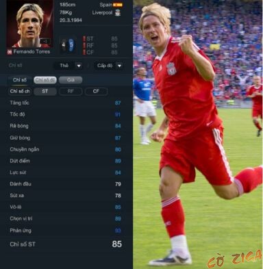 Fernando Torres E08